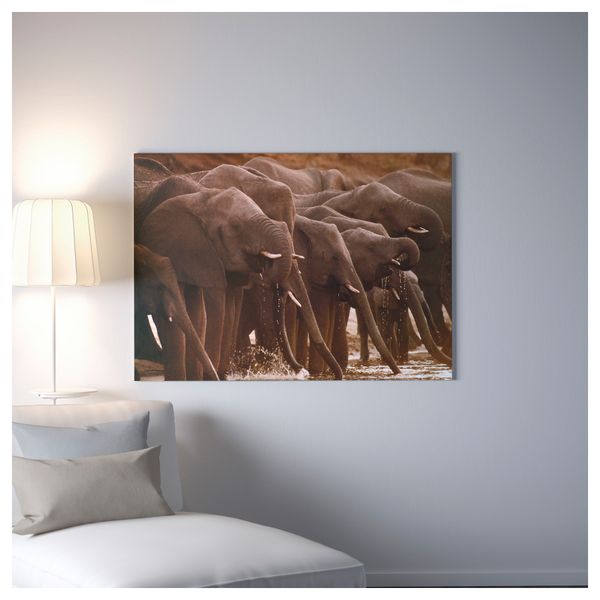 Картина с рамой БЬЁРКСТА, Африканские слоны, цвет алюминия (140x100 см) - фото 3
