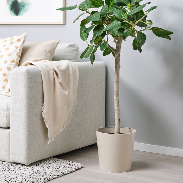 Кашпо, для дома, улицы бежевый 24 см IKEA VITLÖK ВИТЛОК 304.758.36 - фото 4