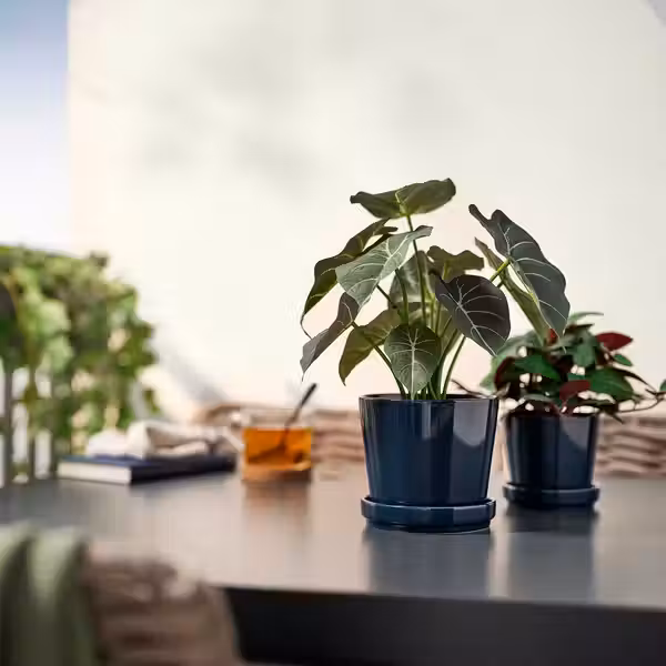 FEJKA Искусственное растение в горшке - д/дома/улицы Алоказия 12 см - фото 3