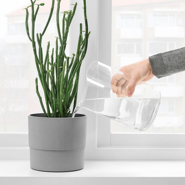 Ваза-лейка, прозрачное стекло, 21 см IKEA CHILIFRUKT ЧИЛИФРУКТ 304.922.42 - фото 3