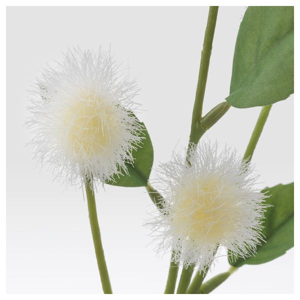 Цветок искусственный СМИККА, Стирлингия, белый (30 см) - схема-чертеж с размерами