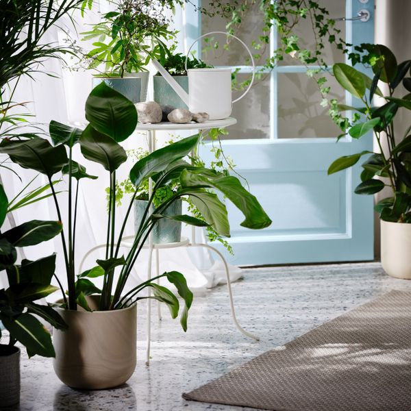 Кашпо, для дома, улицы бежевый/серый 19 см IKEA BACKSMULTRON БАККСМУЛТРОН 104.810.08 - фото 2