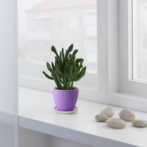 Горшок цветочный, темно-сиреневый 10 см IKEA ПАЛСТЕРНАККА 804.659.91 - фото 2