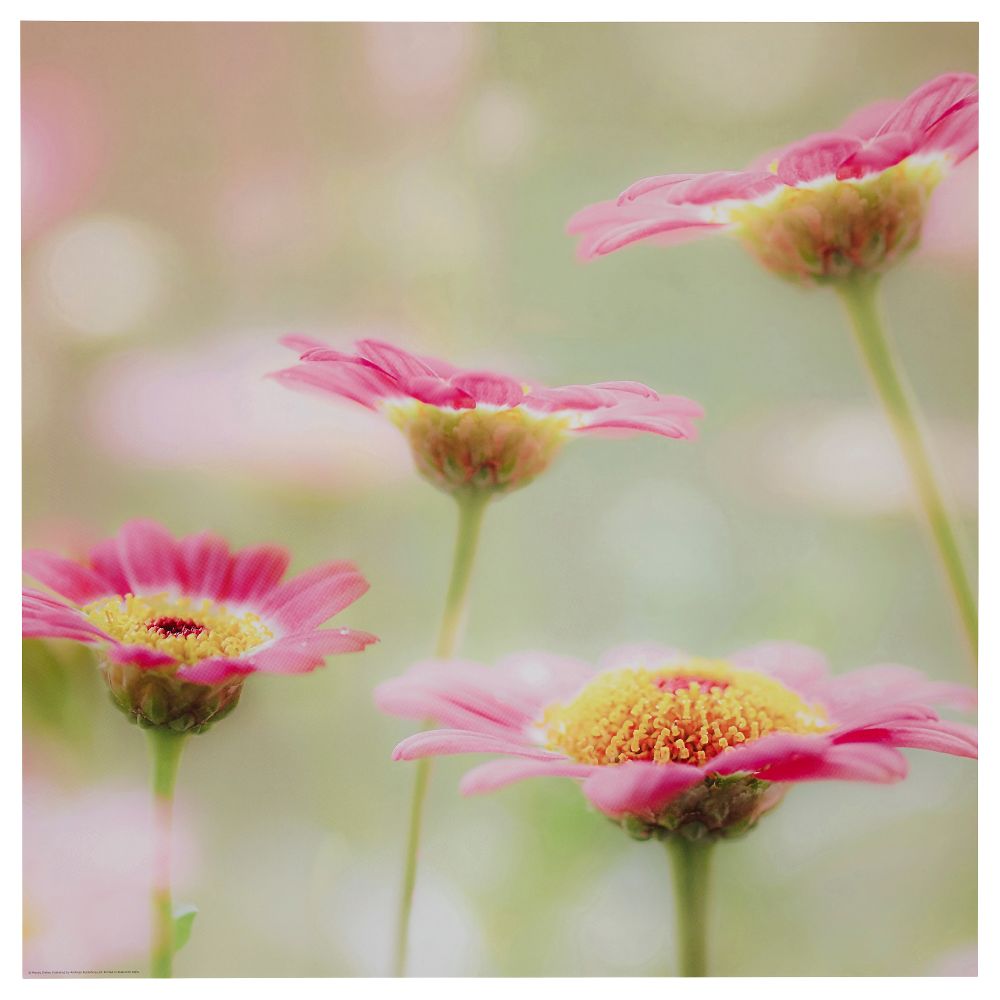 IKEA, вид спереди - схема-чертеж с размерами