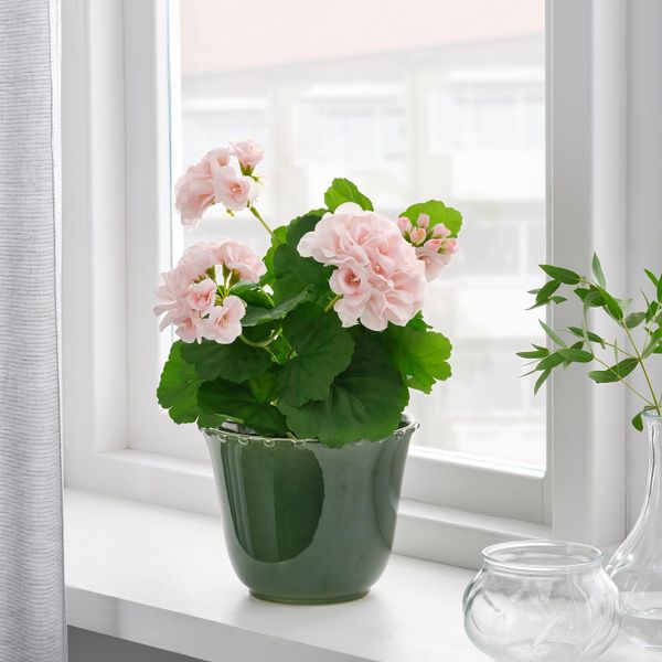 Кашпо, для дома, улицы зеленый 12 см IKEA SHARONFRUKT ШАРОНФРУКТ 304.815.83 - фото 2