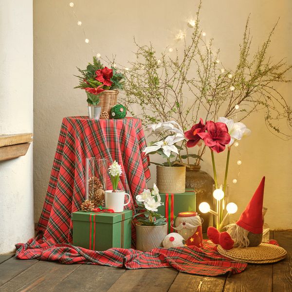 Искусственное растение в горшке IKEA VINTERFINT 205.621.41 - фото 7