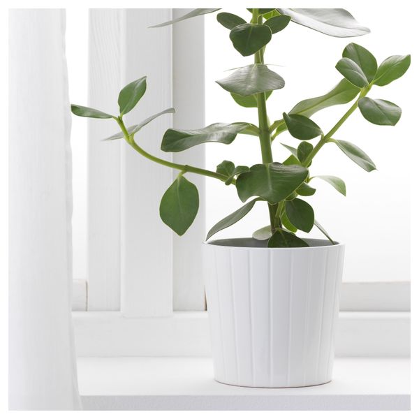 Кашпо КАРДЕМУММА, белый, различные орнаменты - фото 2