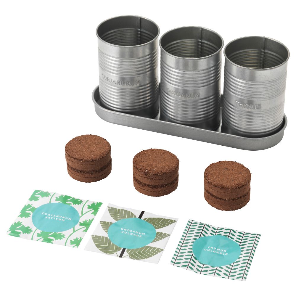 Набор для выращивания рассады ФРОЭР, травы кориандр, душица чабрец - фото 1