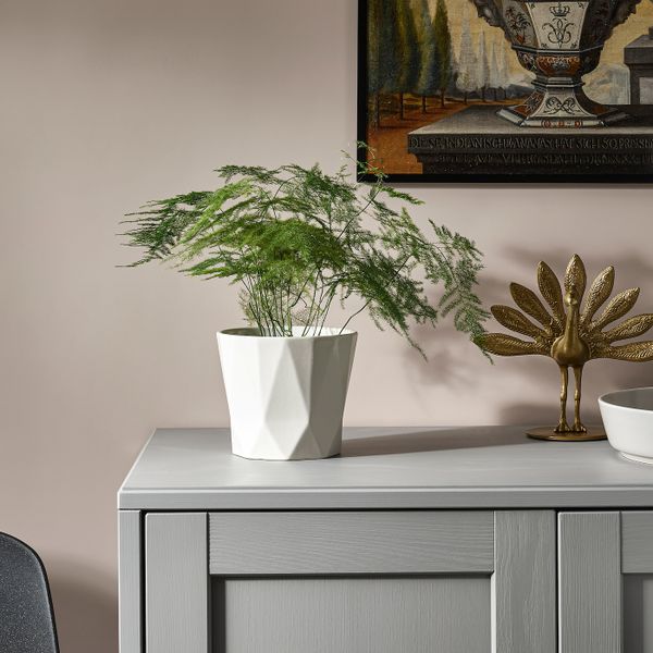 Кашпо, для дома, улицы белый с оттенком 12 см IKEA RAPSFRÖ РАПСФРЁ 505.054.32 - фото 2