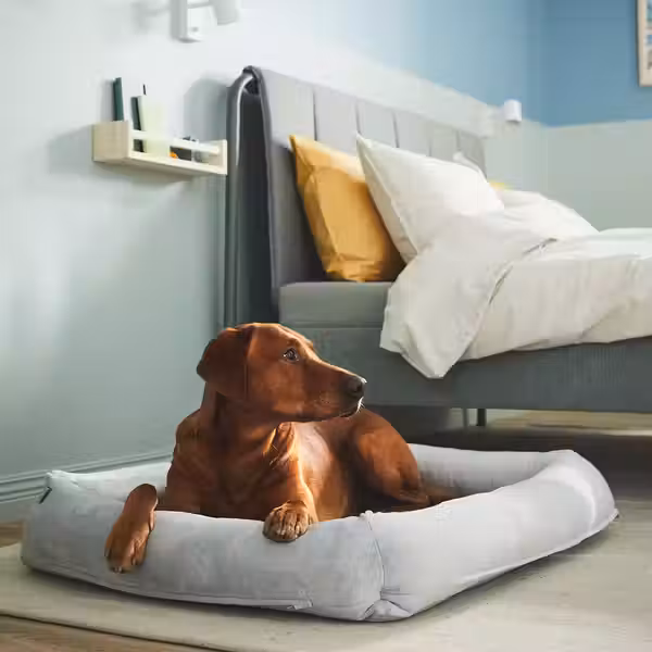 UTSÅDD УТСОДД Место для собаки - светло-серый L - фото 2