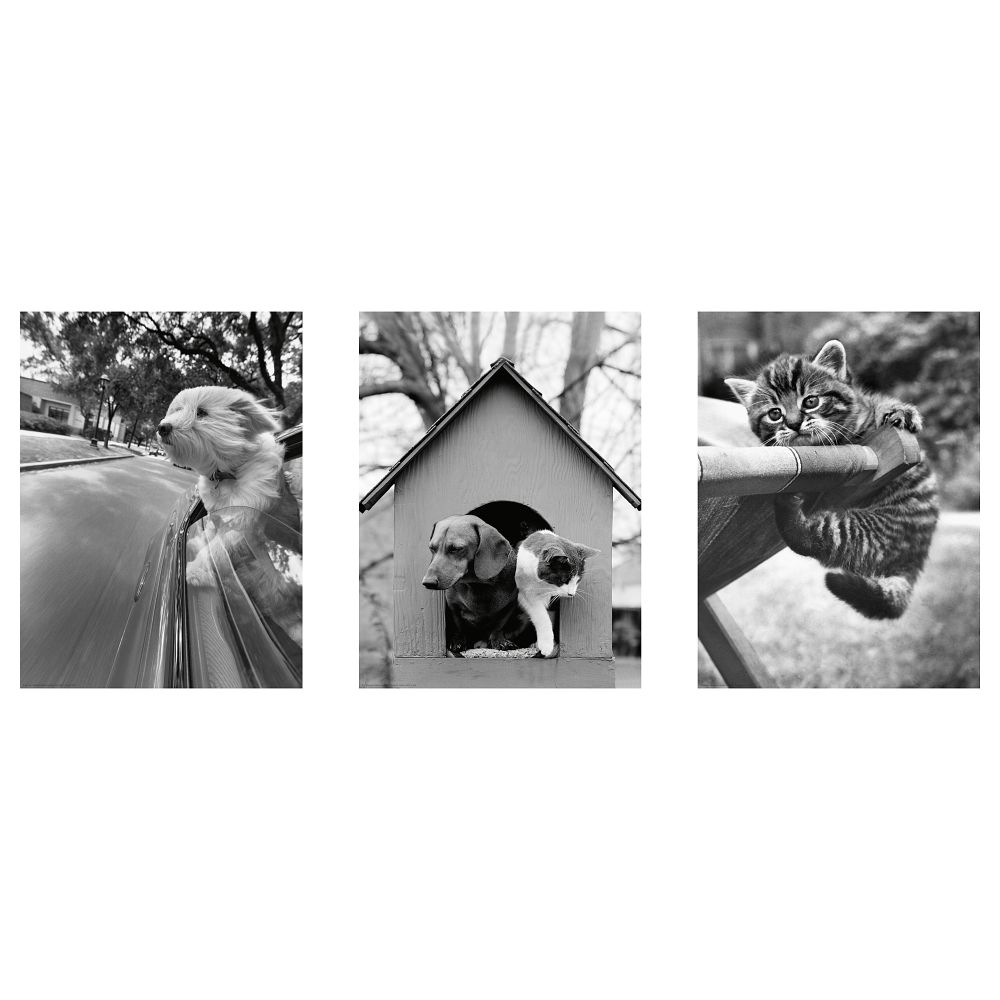 IKEA, вид спереди