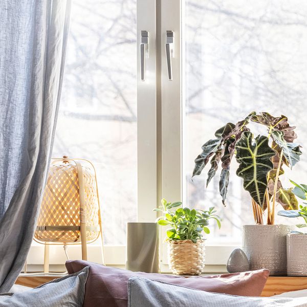 Кашпо, для дома, улицы белый, 12 см IKEA CHIAFRÖN ЧИАФРЁН 504.757.60 - фото 9