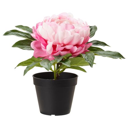 Искусственное растение в горшке ФЕЙКА, Пион розовый (12 см)