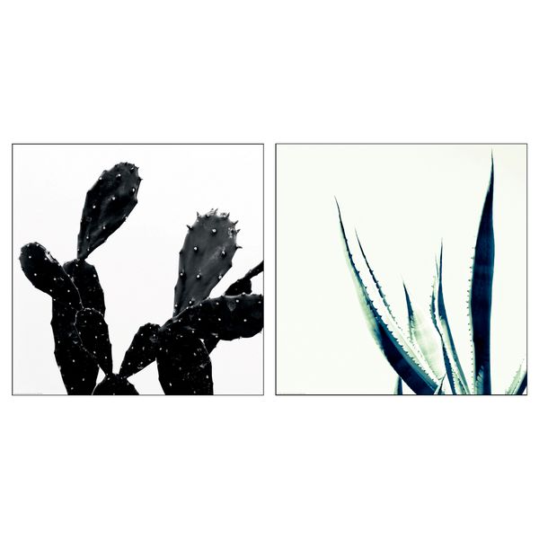 Постер, Кактус, 50x50 см IKEA DRÖMBILD ДРЁМБИЛЬД 804.418.20 - фото 1