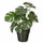 FEJKA Искусственное растение в горшке - д/дома/улицы монстера 12 см