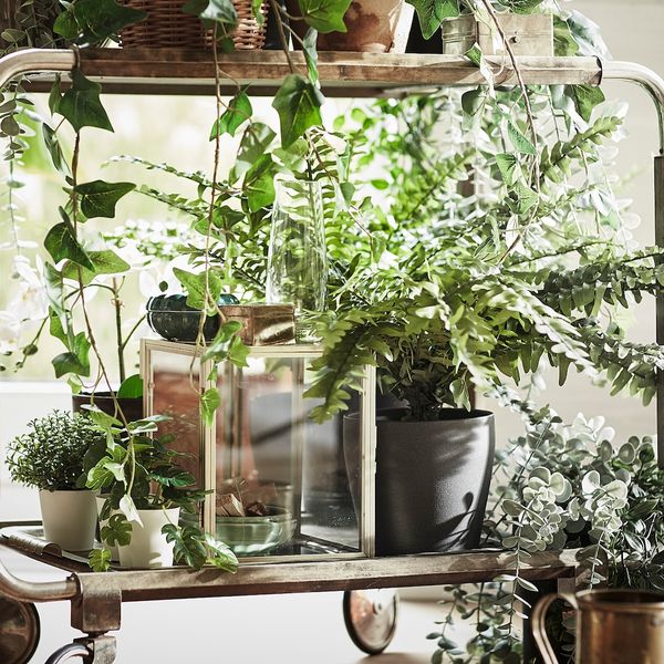 Искусственное растение в горшке, для дома, улицы папоротник 15 см IKEA FEJKA ФЕЙКА 804.684.52 - фото 3