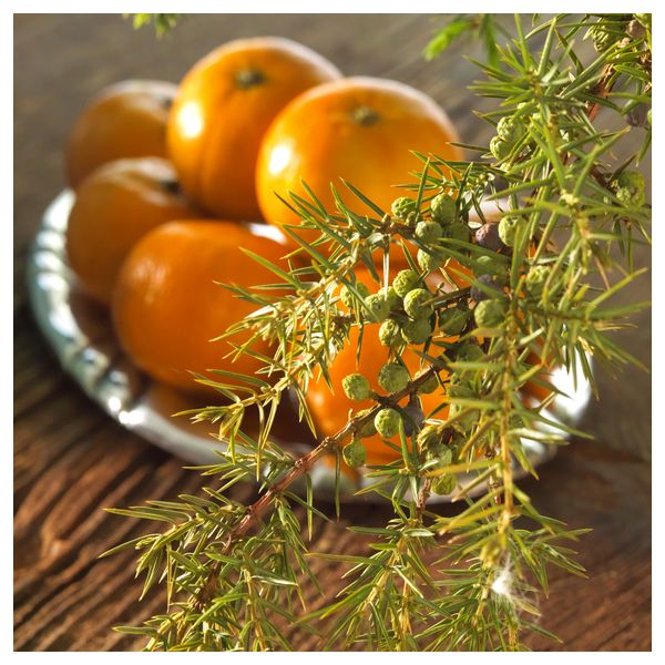 Ароматическая свеча в стакане ВИНТЕР 2016, Рождественское утро, серебристый (7.5 см) - схема-чертеж с размерами