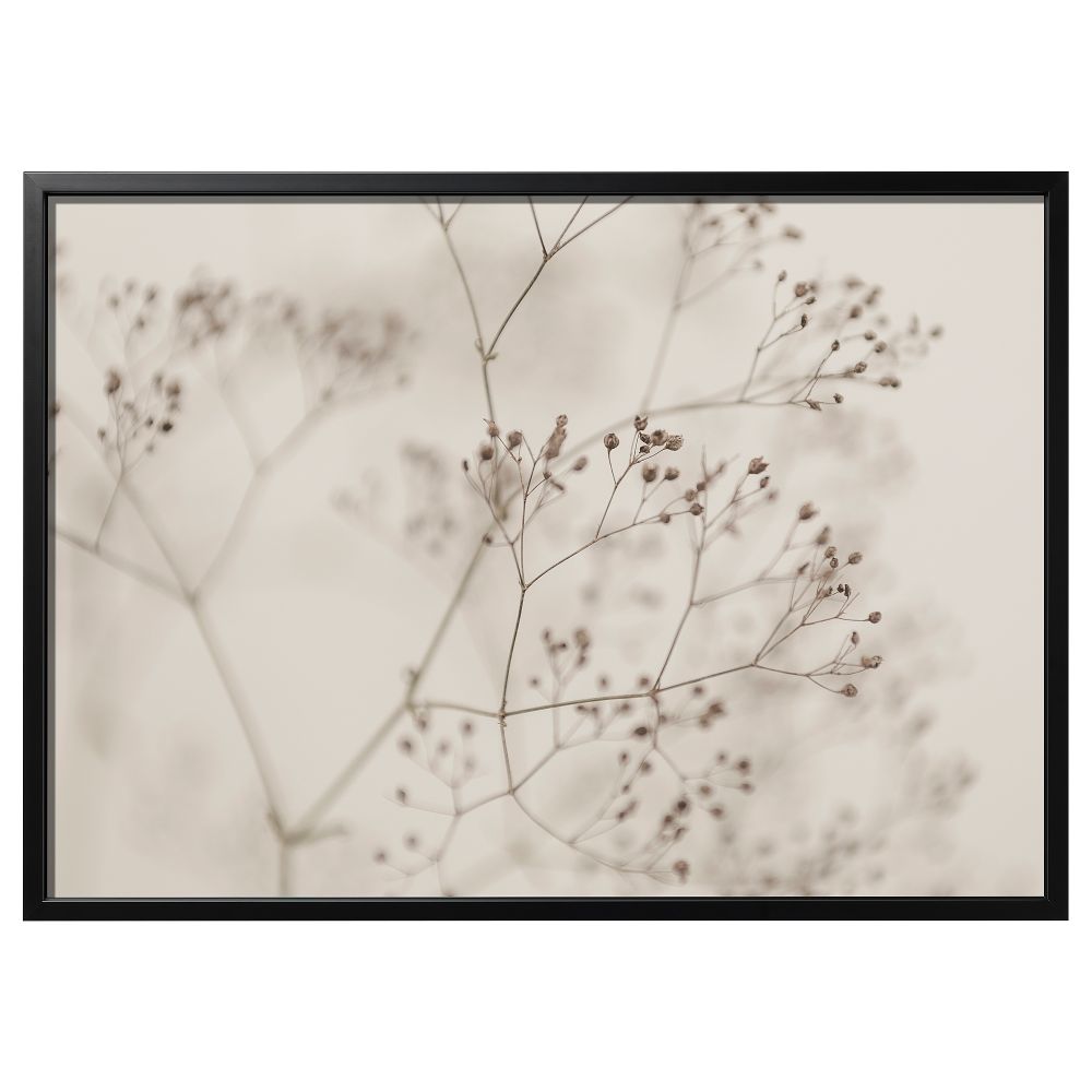 Картина с рамой, Цветы крупным планом, черный, 140x100 см IKEA BJÖRKSTA БЬЁРКСТА 895.611.63 - фото 1
