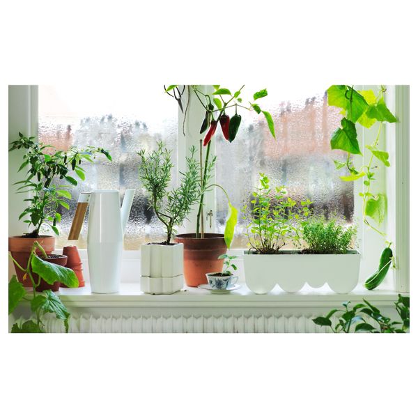 Лейка, белый 2 л IKEA BITTERGURKA БИТТЕРГУРКА 903.680.70 - фото 2