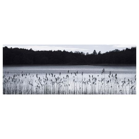 Холст, Лесное озеро 140x56 см IKEA BJÖRKSTA БЬЁРКСТА 304.798.63