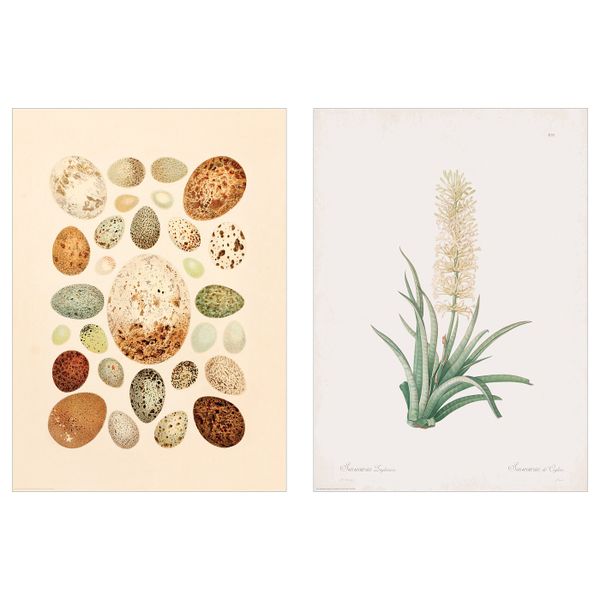 Постер, Легко и просто, 50x70 см IKEA БИЛЬД 604.657.32 - схема-чертеж с размерами