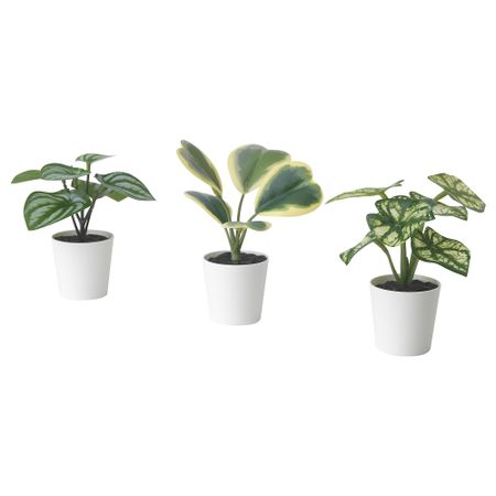 Искусственное растение в горшке,3 шт., 6 см, для дома, улицы бегония IKEA FEJKA ФЕЙКА 305.596.47