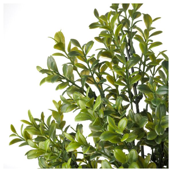 Искусственное растение в горшке ФЕЙКА, д/дома/улицы, Муррайя (21 см) - фото 3