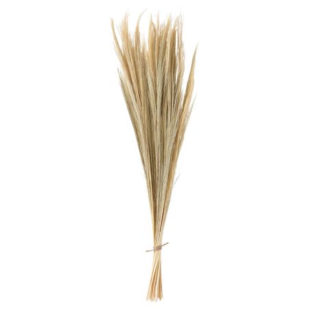 Сухой букет, светло-бежевый 112 см IKEA BEGYNNELSE БЕГЮННЕЛСЕ 605.048.42