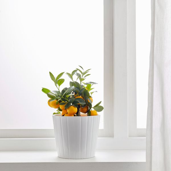 IKEA, дополнительный ракурс - схема-чертеж с размерами
