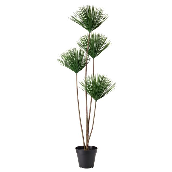 Искусственное растение в горшке ФЕЙКА, д/дома/улицы, Циперус (17 см) - фото 1