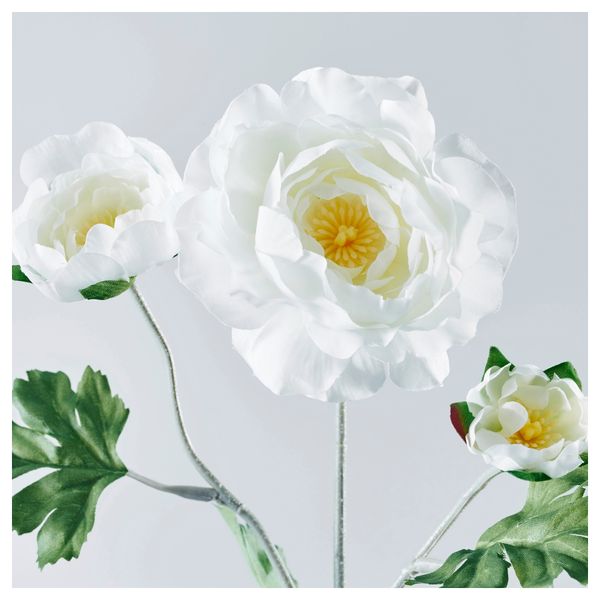 Цветок искусственный СМИККА, лютик белый (45 см) - схема-чертеж с размерами