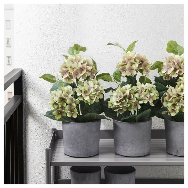 Искусственное растение в горшке ФЕЙКА, д/дома/улицы, Гидрангея зеленый (12 см) - фото 3