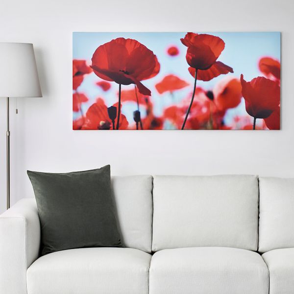 Картина, Маковое поле II, 120x56 см IKEA ПЬЕТТЕРИД 903.645.19 - схема-чертеж с размерами