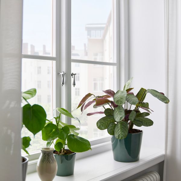 Кашпо, 15 см, для дома, улицы черно-зеленый IKEA SKOGSVINBÄR СКОГСВИНБЭР 205.436.90 - схема-чертеж с размерами