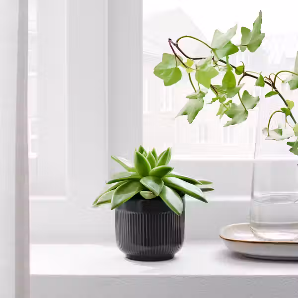 GRADVIS Кашпо - д/дома/улицы чёрный 6 см - фото 2