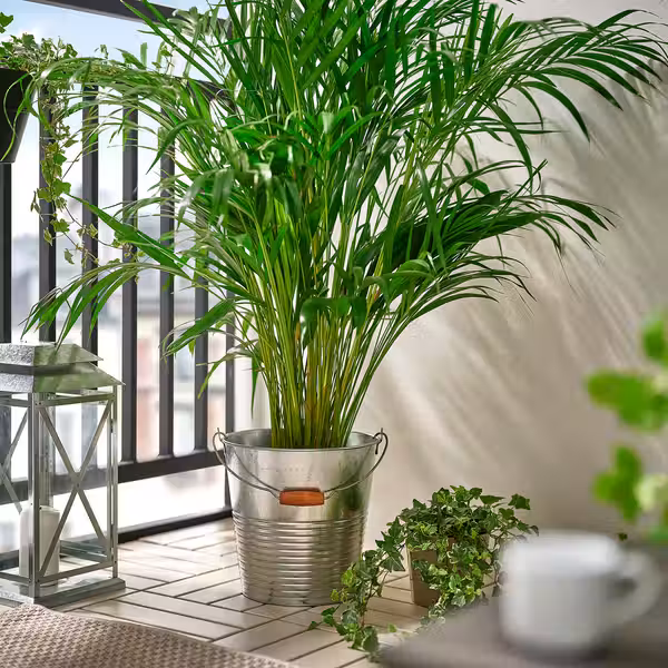 KORKGRAN Ведро/горшок - д/дома/улицы/оцинковка 10 л - фото 2