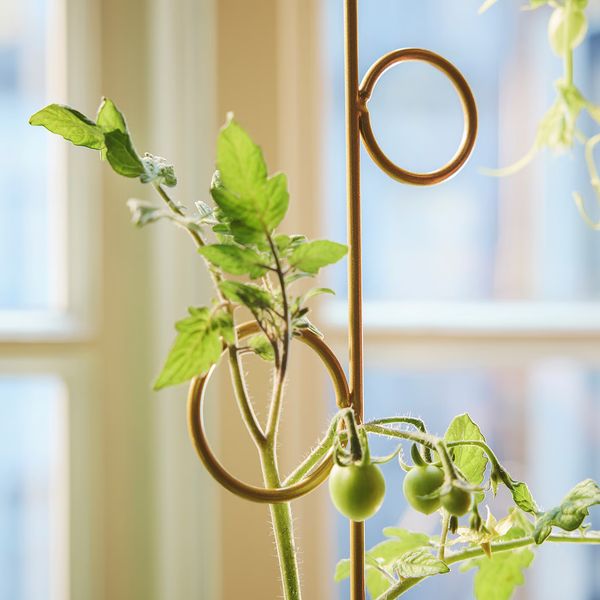 DOFTRIPS Опора для растения, 2 шт. - д/дома/улицы/разные формы - фото 2