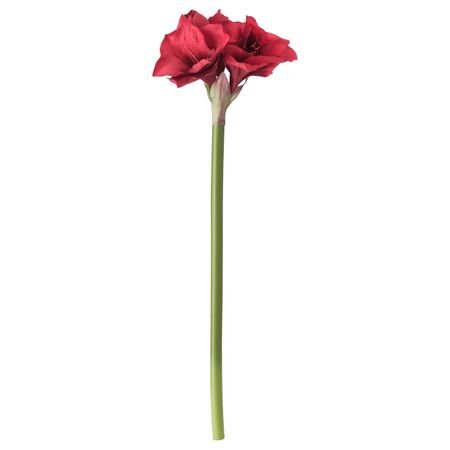 Цветок искусственный, Амариллис, красный, 60 см IKEA ВИНТЕРФЕСТ 004.307.50