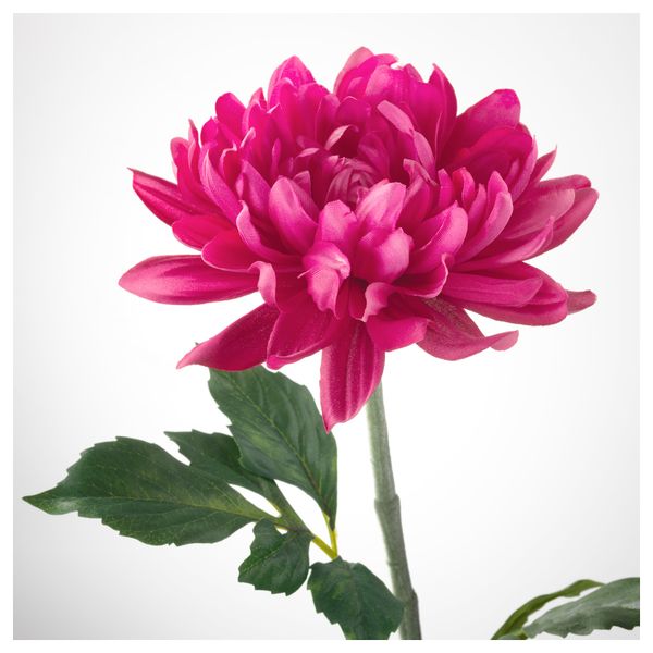 Цветок искусственный СМИККА, Георгин, темно-розовый (75 см) - схема-чертеж с размерами