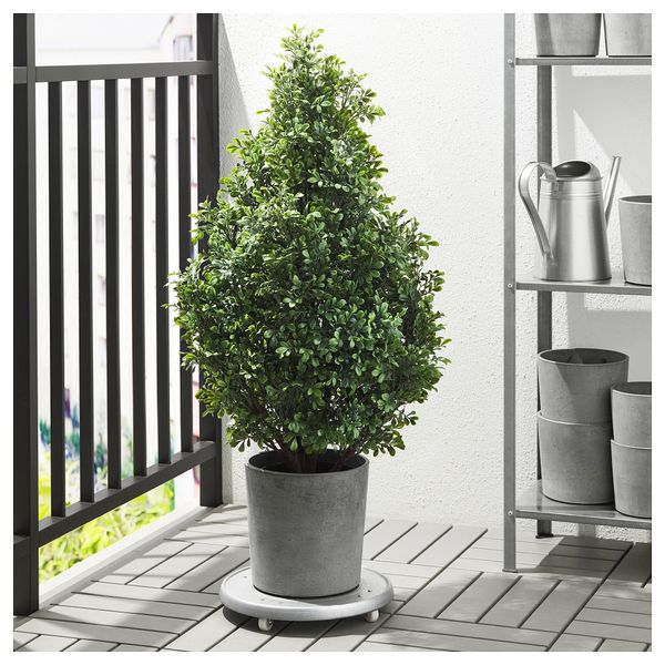 Искусственное растение в горшке ФЕЙКА, д/дома/улицы самшит (19 см) - фото 2
