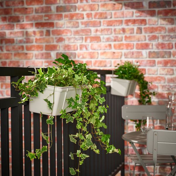 Ящик для цветов с держателем IKEA ROSENKÅL РОЗЕНКОЛЬ 905.607.56 - схема-чертеж с размерами