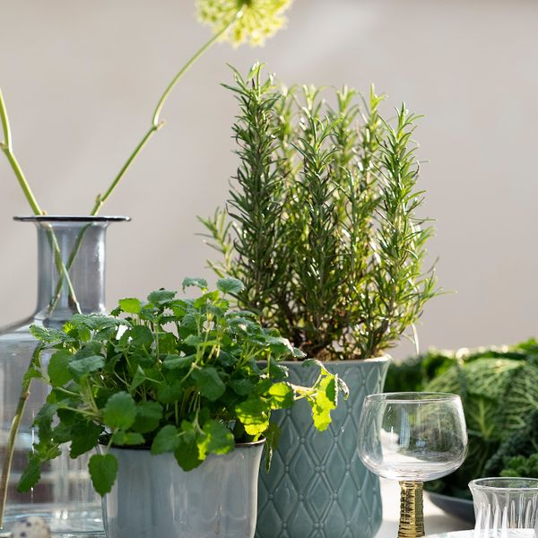 Кашпо, серый, 9 см IKEA СОТКОРСБЭР 304.419.31 - фото 5