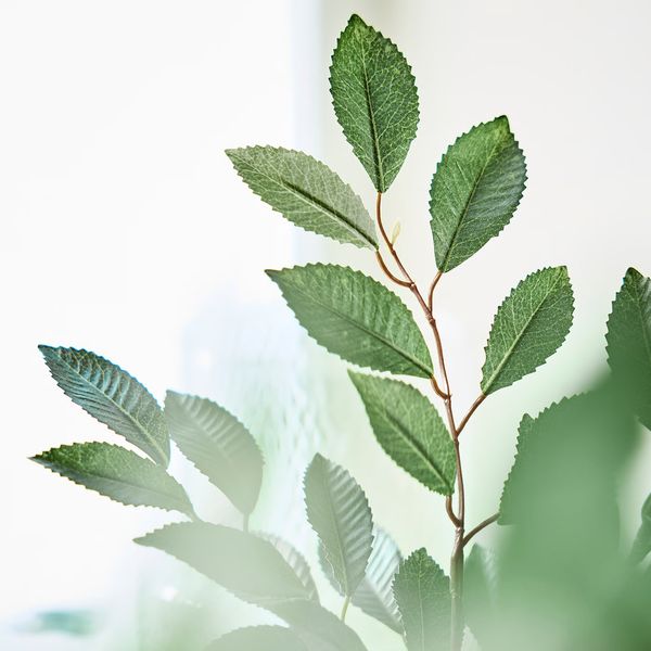 IKEA, дополнительный ракурс - схема-чертеж с размерами