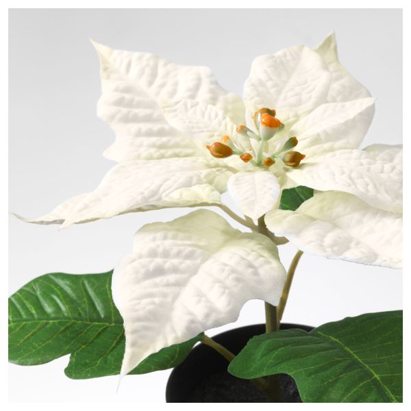 Искусственное растение в горшке ФЕЙКА, "Рождественская звезда" белый (9 см) - схема-чертеж с размерами