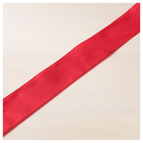 Тесьма ВИНТЕР 2017, красный (5 м) - схема-чертеж с размерами