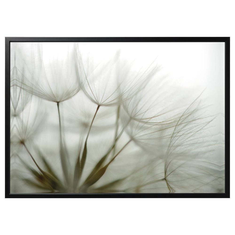 Картина с рамой, Одуванчик, черный 140x100 см IKEA БЬЁРКСТА 092.984.16 - фото 1