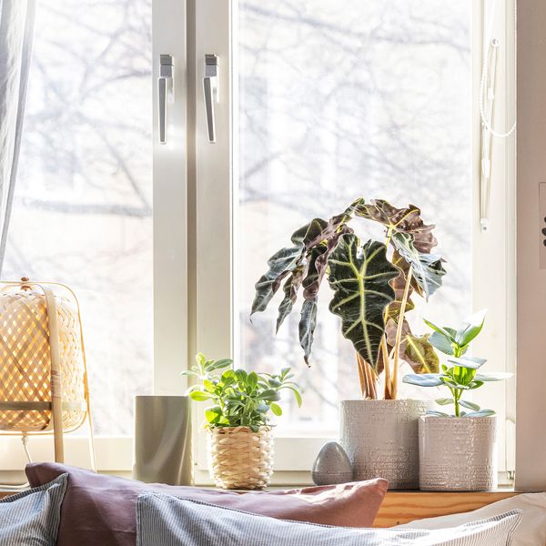 Кашпо, для дома, улицы белый, 12 см IKEA CHIAFRÖN ЧИАФРЁН 504.757.60 - фото 8