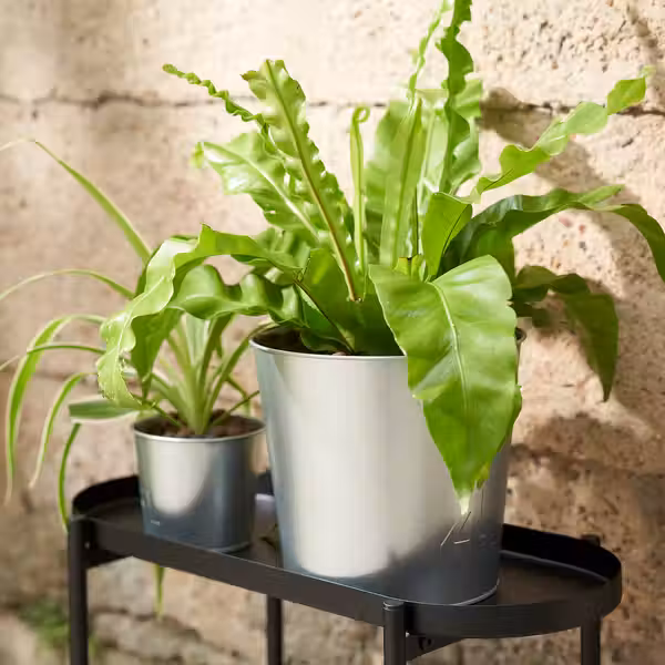 ÅKERBÄR Кашпо - д/дома/улицы/оцинковка 19 см - фото 3