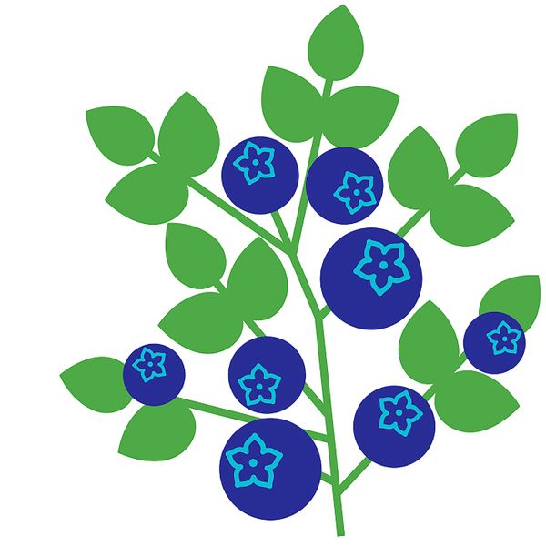 Ароматическая свеча в стакане, кот/Свежесобранная голубика синий 7.5 см IKEA MEDKÄMPE МЕДКЭМПЕ 704.967.66 - схема-чертеж с размерами