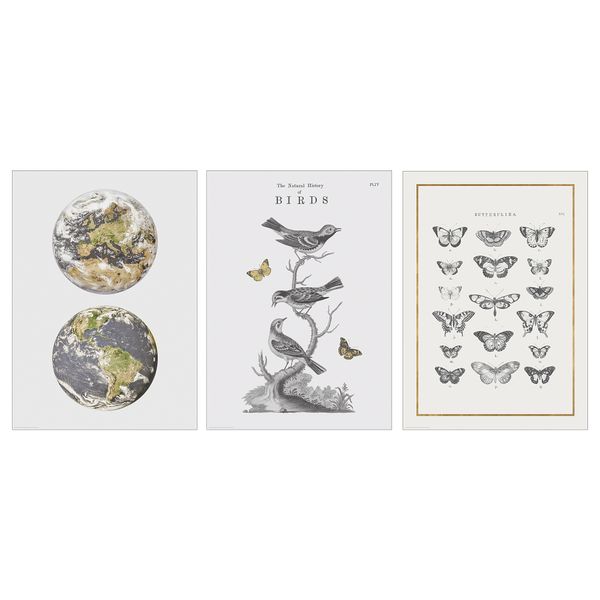 Постер БИЛЬД, Птицы (50x70 см) - фото 1